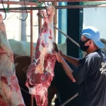 Qurban Yayasan Al-Jihad