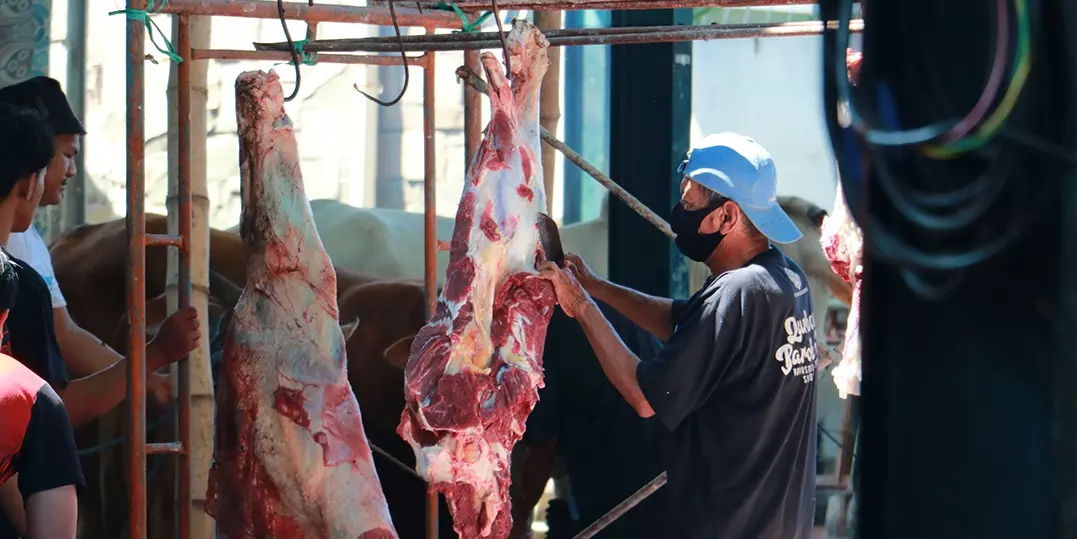 Qurban Yayasan Al-Jihad