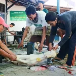 Qurban Yayasan Al-Jihad